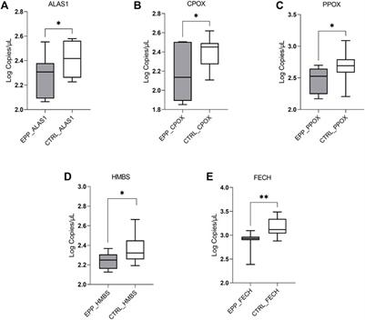 Heme Biosynthetic Gene Expression Analysis With dPCR in Erythropoietic Protoporphyria Patients